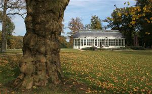 oranjerie kasteel schaffelaar